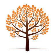 Autumn Tree N26