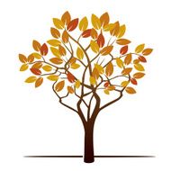 Autumn Tree and Color Leafs N4