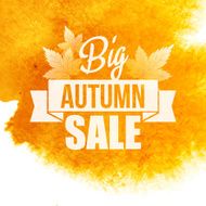 Autumn background with leaves N32