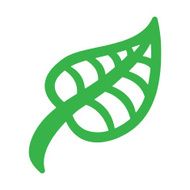 leaf N11