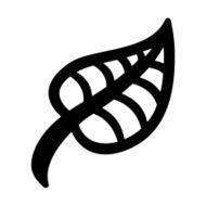 leaf N12