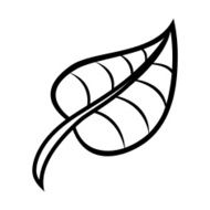 leaf N13