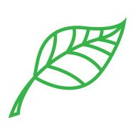leaf N14