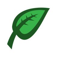 leaf N15