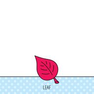 Leaf icon Natural eco sign N4
