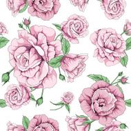 rose floral vector pattern seamless