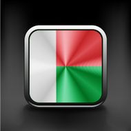 original and simple Madagascar flag isolated N2