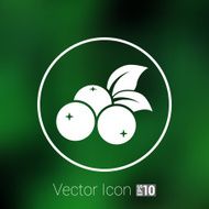 blueberry farm juicy illustration logo symbol vector
