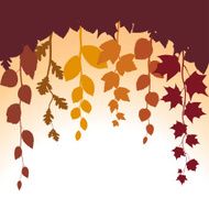 Autumn leaves at sunset Foliage vector backdrop