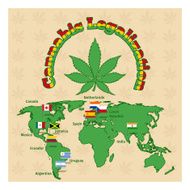 Legalization of marijuana or cannabis legalize
