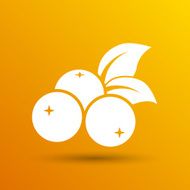 blueberry farm juicy illustration logo symbol vector N2
