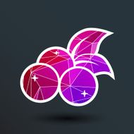 blueberry farm juicy illustration logo symbol vector N4