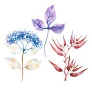 Isolated background with herbarium flowers and plants Watercolor illustration