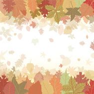 Autumn Background N58