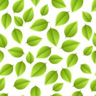 Leaves seamless N6