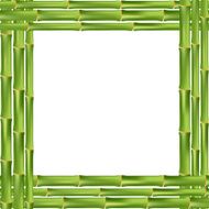 Bamboo Frame N3