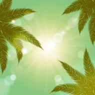 Summer background Palm branches against the sun Vintage design