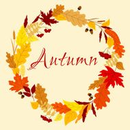 Autumn frame with leaves herbs and acorns