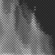Scales pattern in grey and black