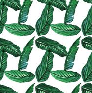 Watercolor tropical seamless pattern palm leaves N2