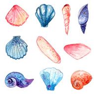 hand drawn watercolor sea shells