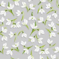 Snowdrops N2