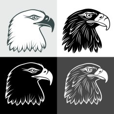 Eagle Head N8