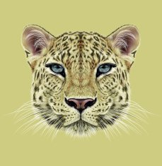 Illustrative Portrait of Leopard