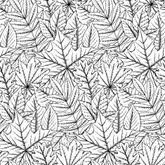Vector seamless pattern with highly detailed hand drawn leaves N5