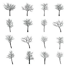 Trees with dead branch N2
