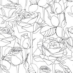 Vector seamless pattern with hand drawn roses flowers N6