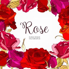 Vector greeting card or invitation design with hand drawn roses N5