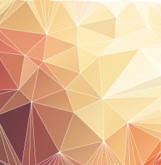 Abstract triangle polygonal background N21