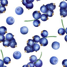 Berries seamless pattern N7