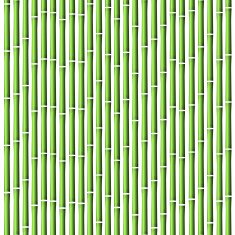 Bamboo background Vector illustration