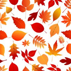 Autumn red and orange leaves pattern