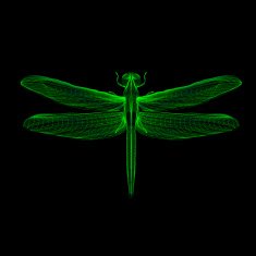 Dragonfly 3d style vector illustration for print tatto t-shirt N2