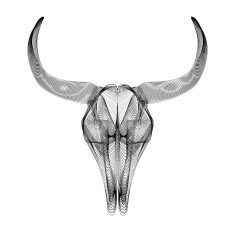 Bull skull 3d style vector illustration for prints or t