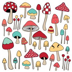 mixed colorful Mushroom doodle illustration N2