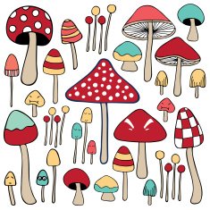 mixed Mushroom doodle color N2