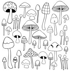 Mushroom doodle hand drawn sketch N2