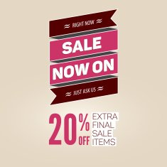 Vintage sale vector template N3