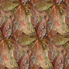 Watercolor Leaves N8