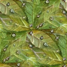 Watercolor Leaves N9