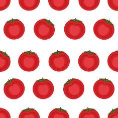 Slice tomato seamless pattern Vector background from vegetables