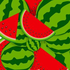Background from Watermelon Vector Illustration N2