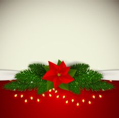 Abstract beauty Christmas and New Year background vector illust N52