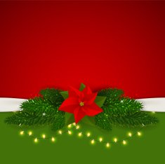 Abstract beauty Christmas and New Year background vector illust N53