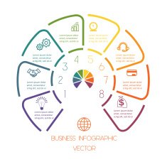 Lines Semicircle infographic eight positions N2