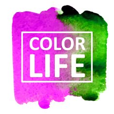 Vector watercolor N251